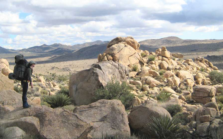 a person stands on an overlook at Joshua Tree National Park